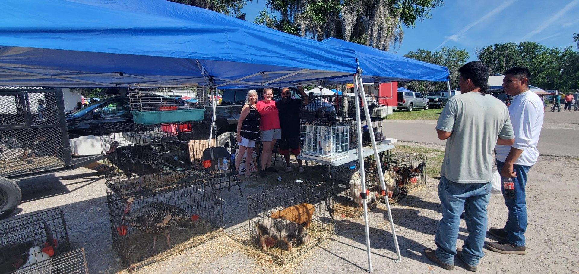 Animals at Sunnydaze Acres