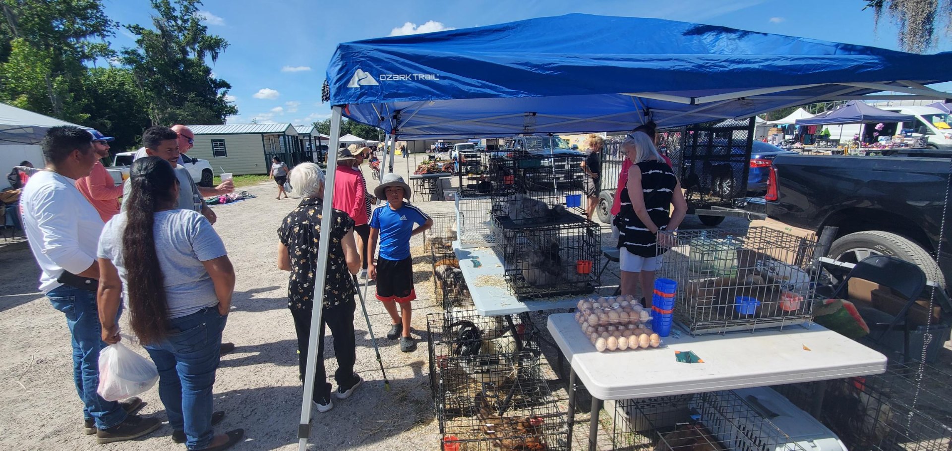 Animals at Sunnydaze Acres